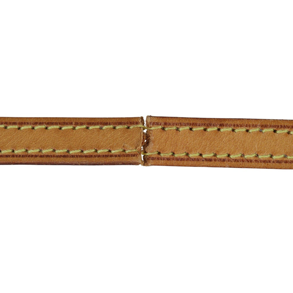 Louis Vuitton Twin Pochette GM Monogram
