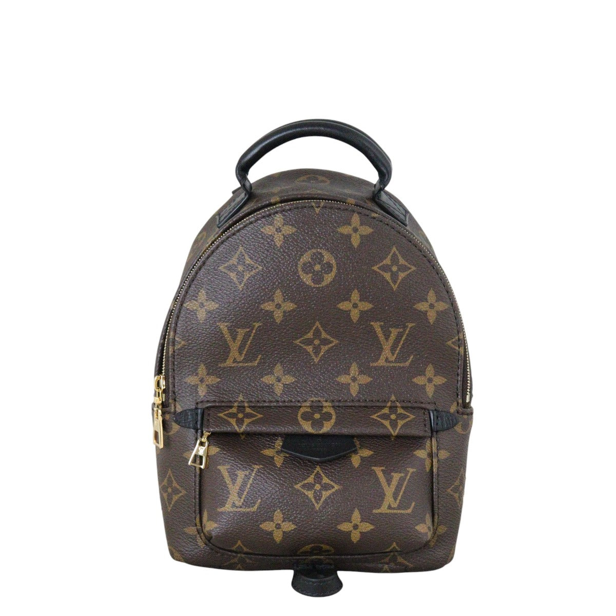 Louis Vuitton Palm Springs Mini Backpack Monogram