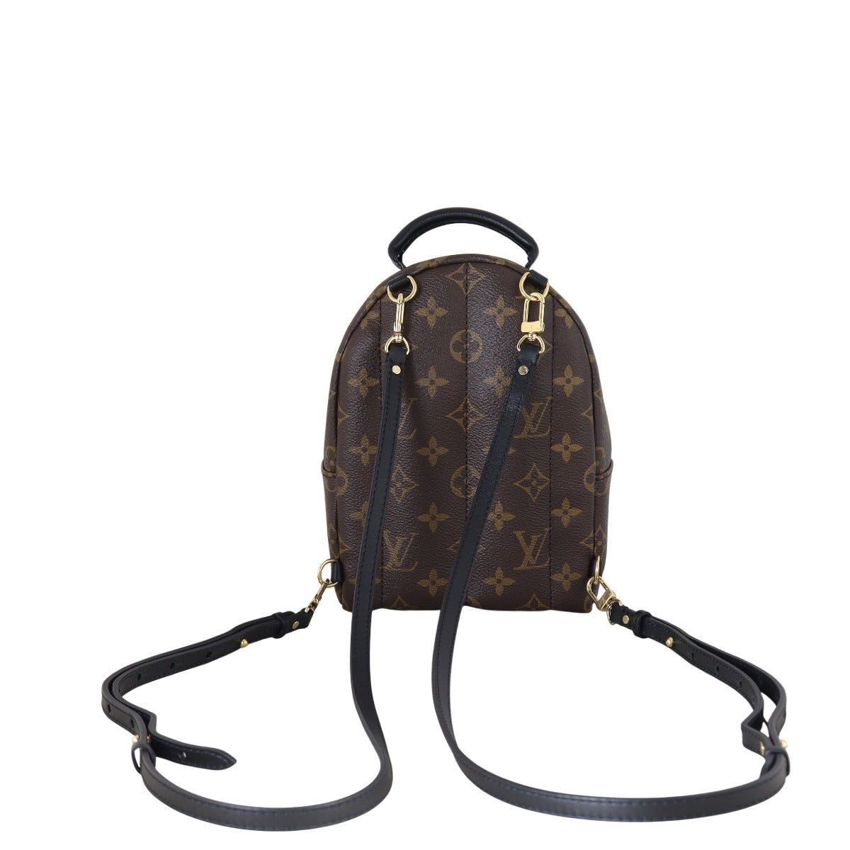 Louis Vuitton Palm Springs Mini Backpack Monogram