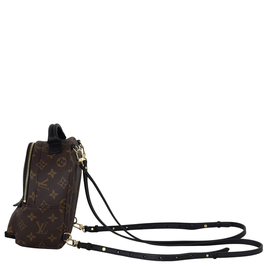 Louis Vuitton Palm Springs Mini Backpack Monogram