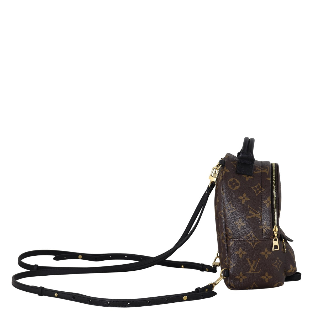 Louis Vuitton Palm Springs Mini Backpack Monogram