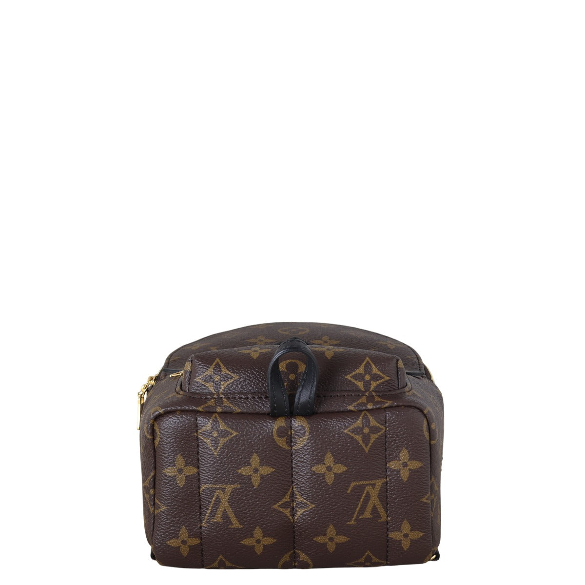 Louis Vuitton Palm Springs Mini Backpack Monogram
