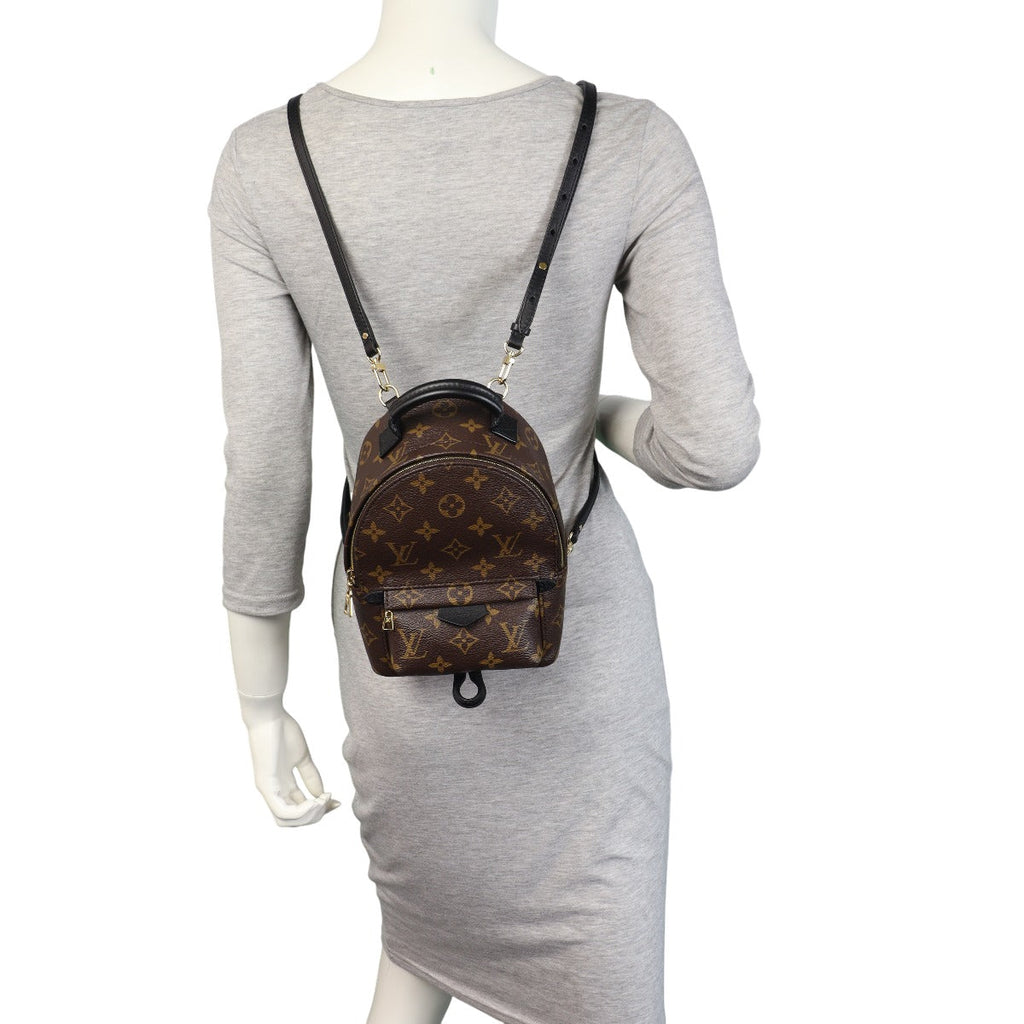 Louis Vuitton Palm Springs Mini Backpack Monogram