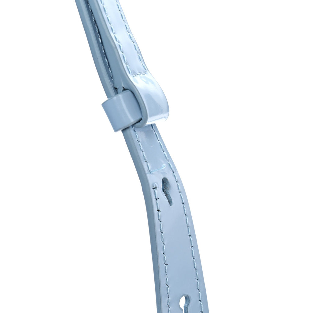 Brushed Calfskin North South Wanda Top Handle Bag Sky Blue