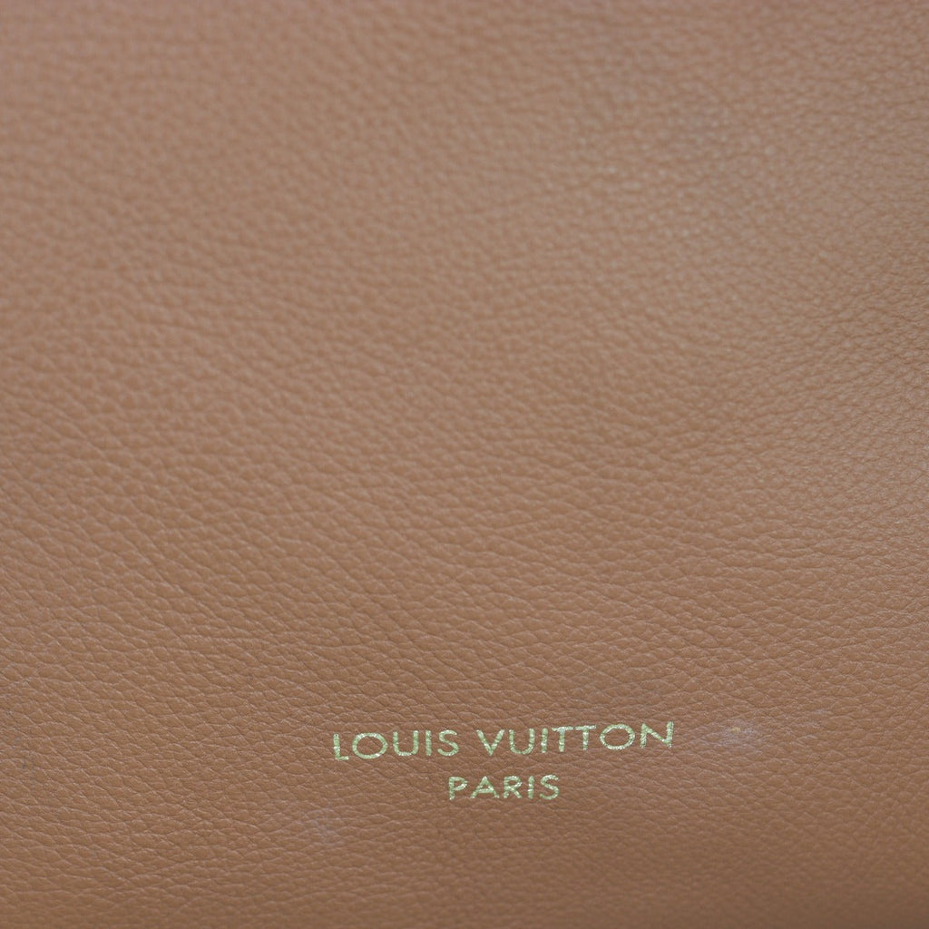 Louis Vuitton Low Key Hobo PM