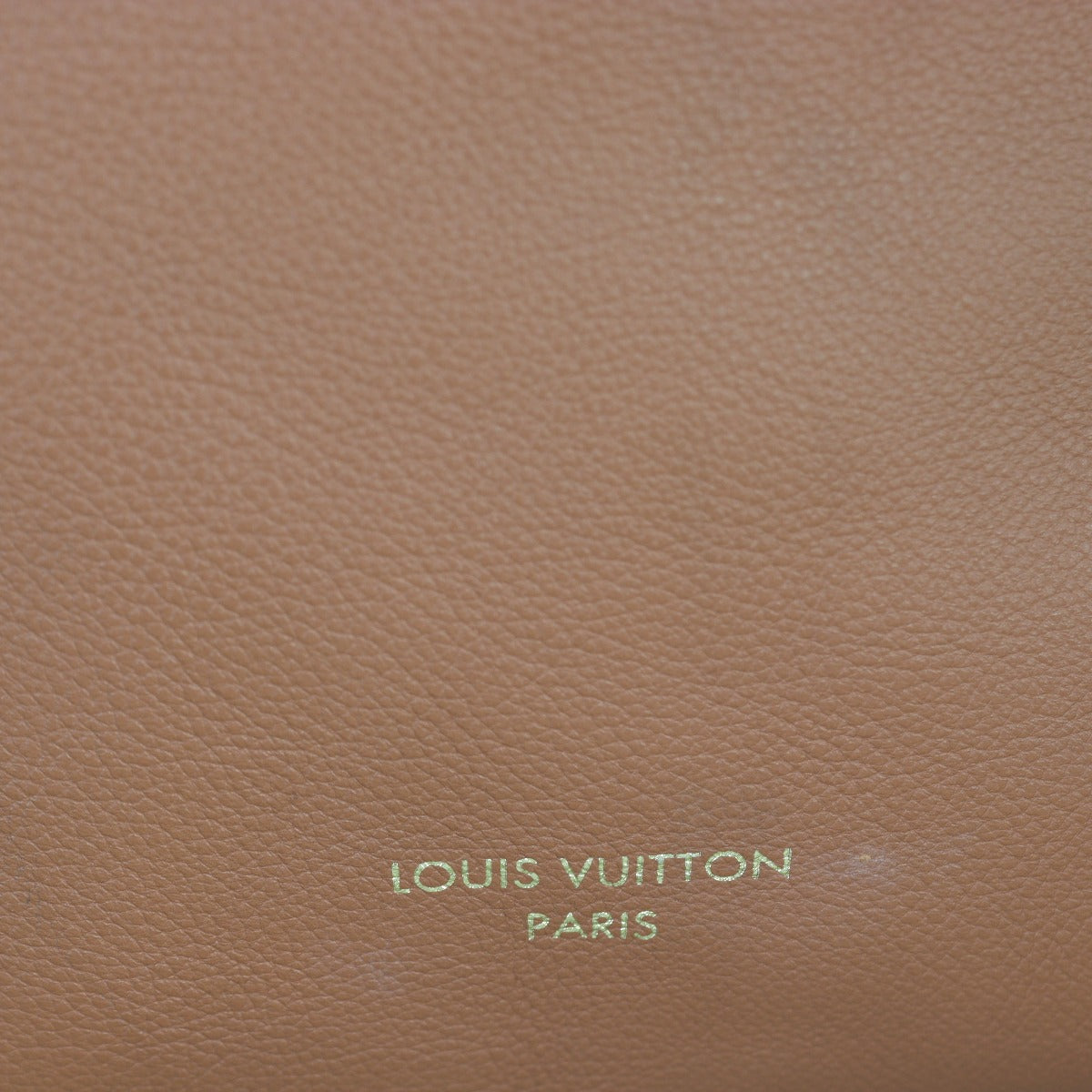 Louis Vuitton Low Key Hobo PM