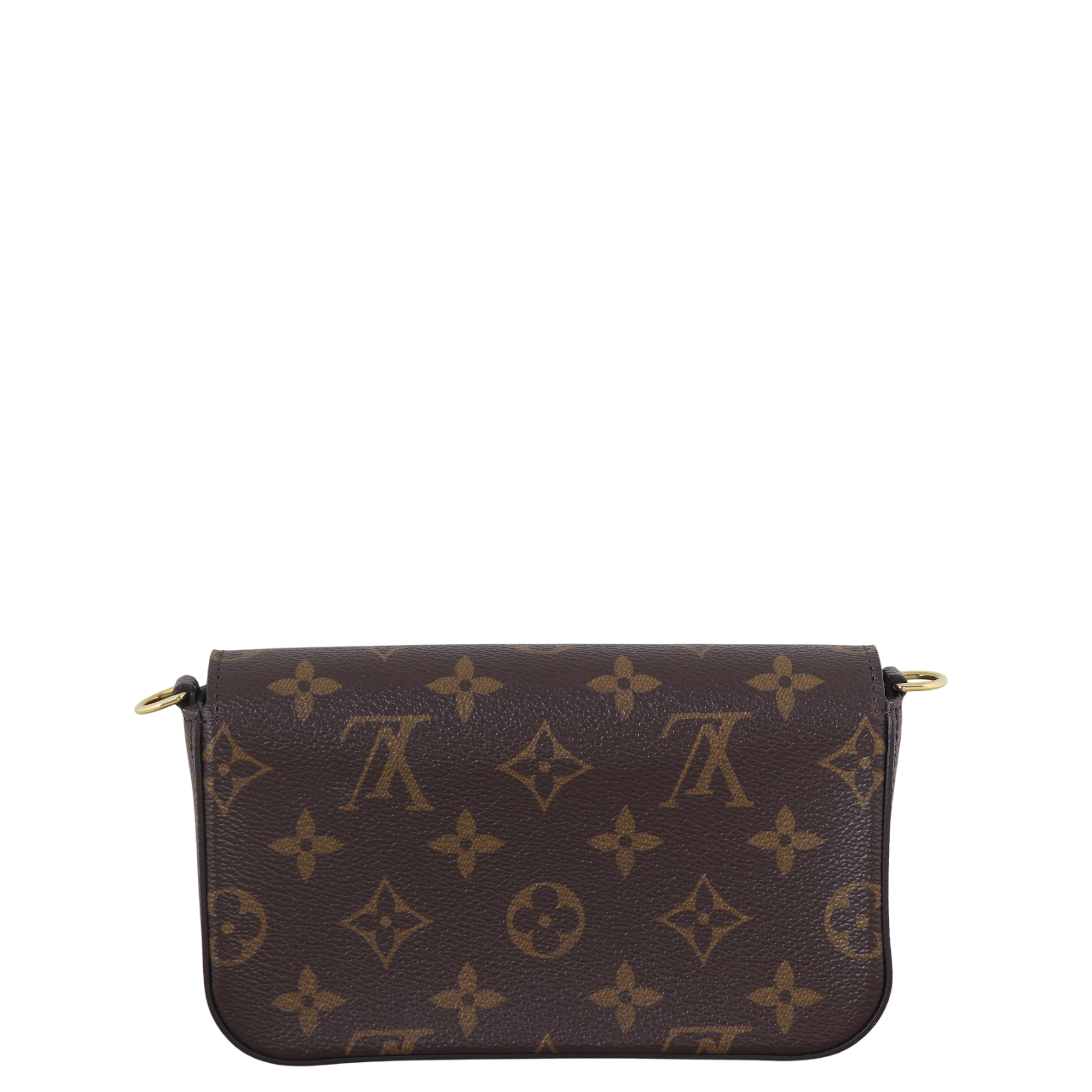 Louis Vuitton Felicie Strap & Go Monogram