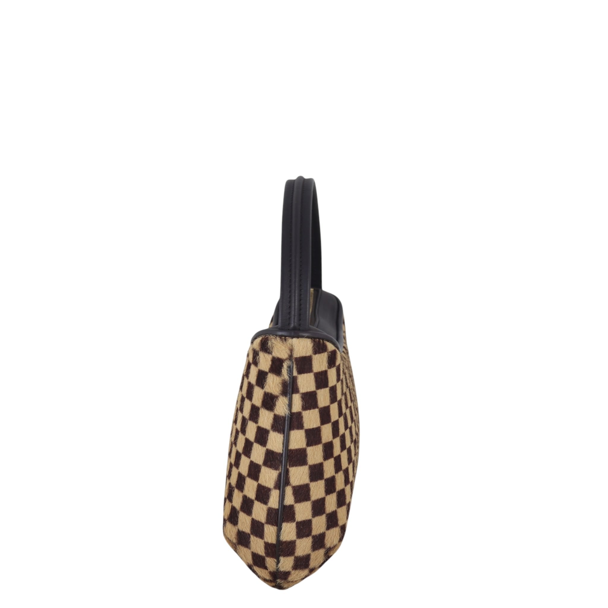 Louis Vuitton Damier Sauvage Tigre Bag