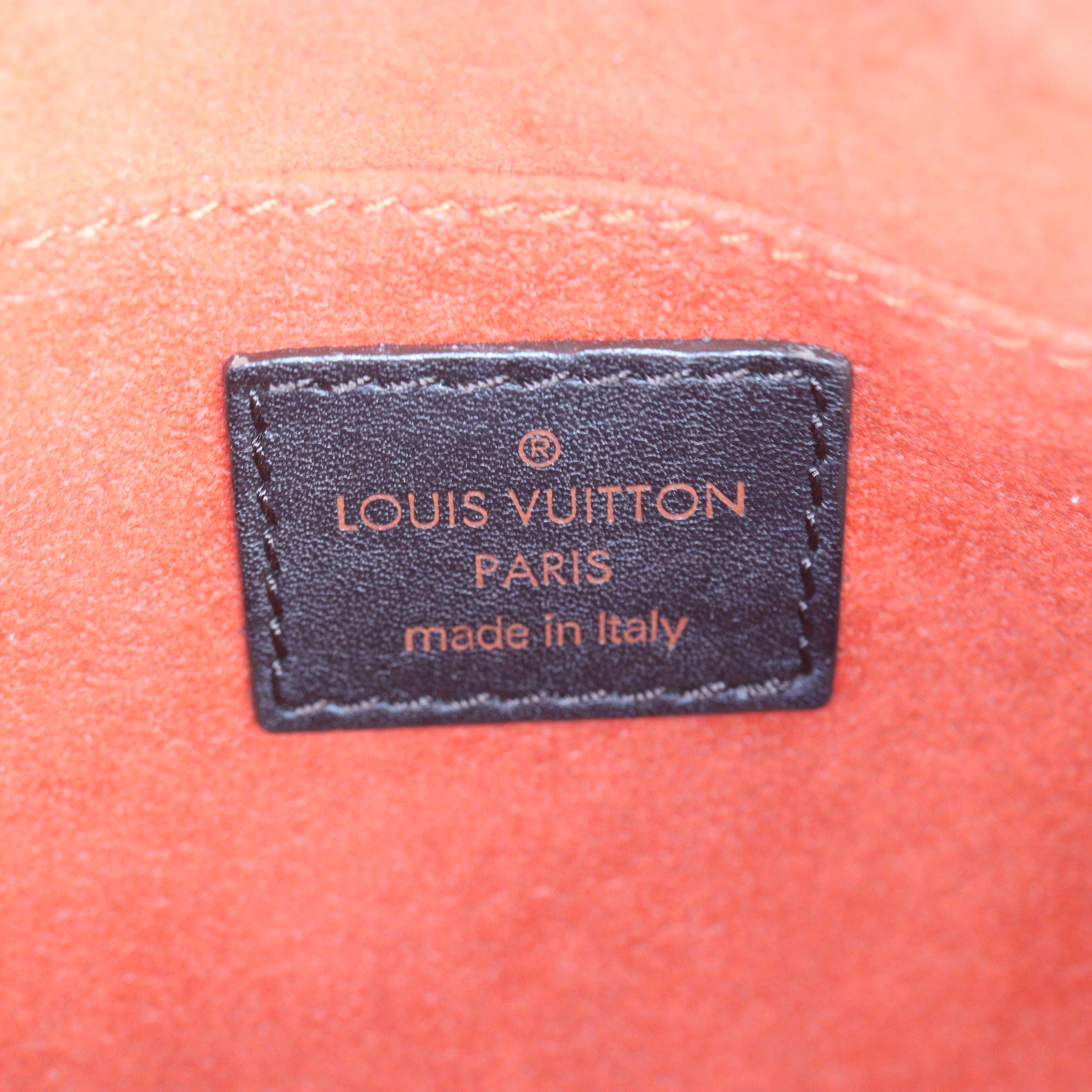 Louis Vuitton Damier Sauvage Tigre Bag