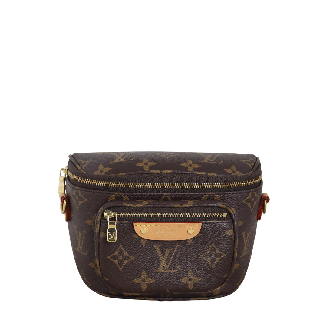 Louis Vuitton Mini Bumbag Monogram