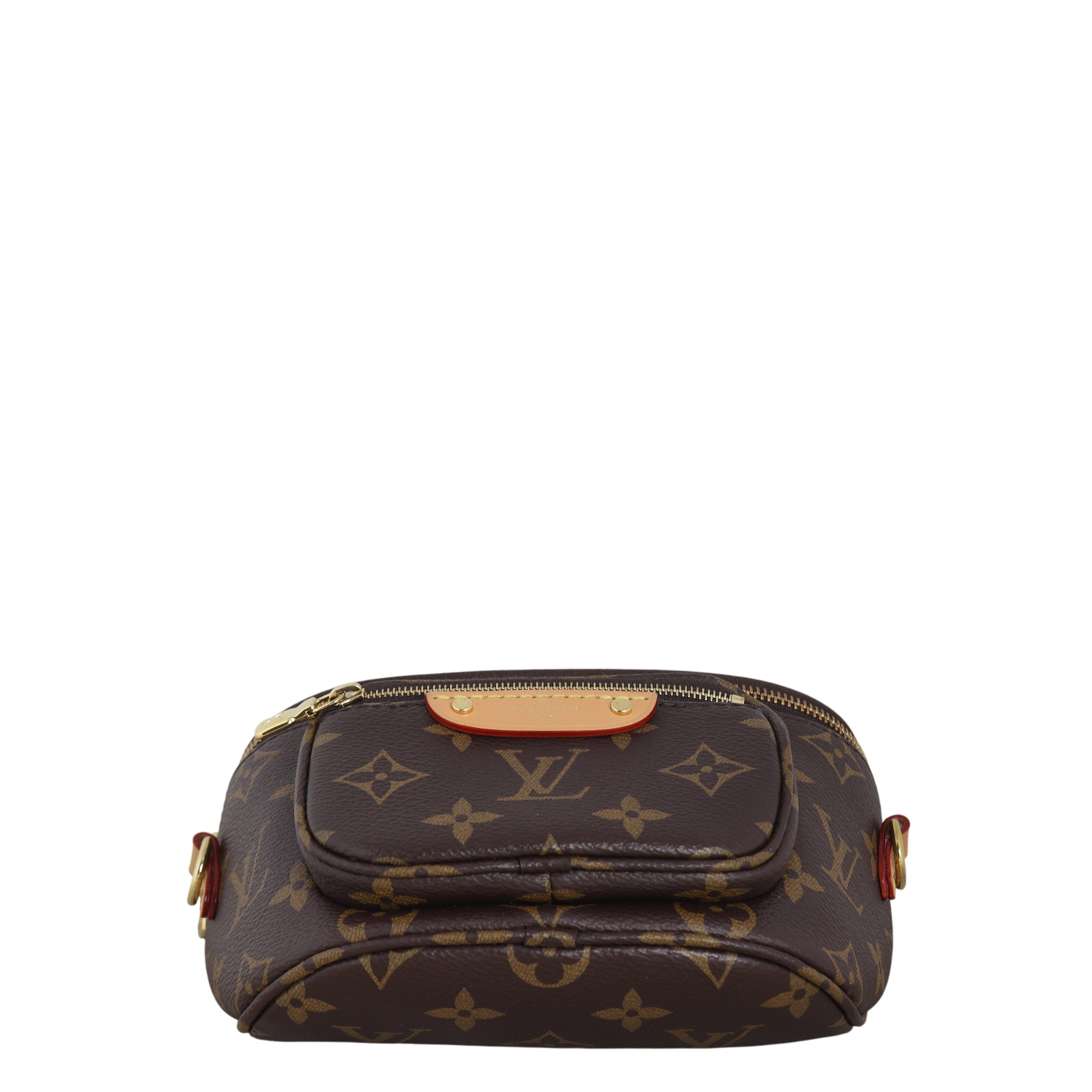 Louis Vuitton Mini Bumbag Monogram