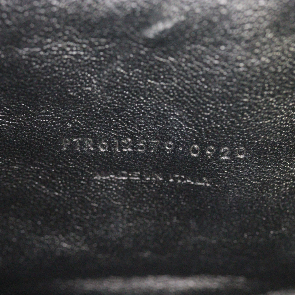 Saint Laurent Lou Mini Camera Bag