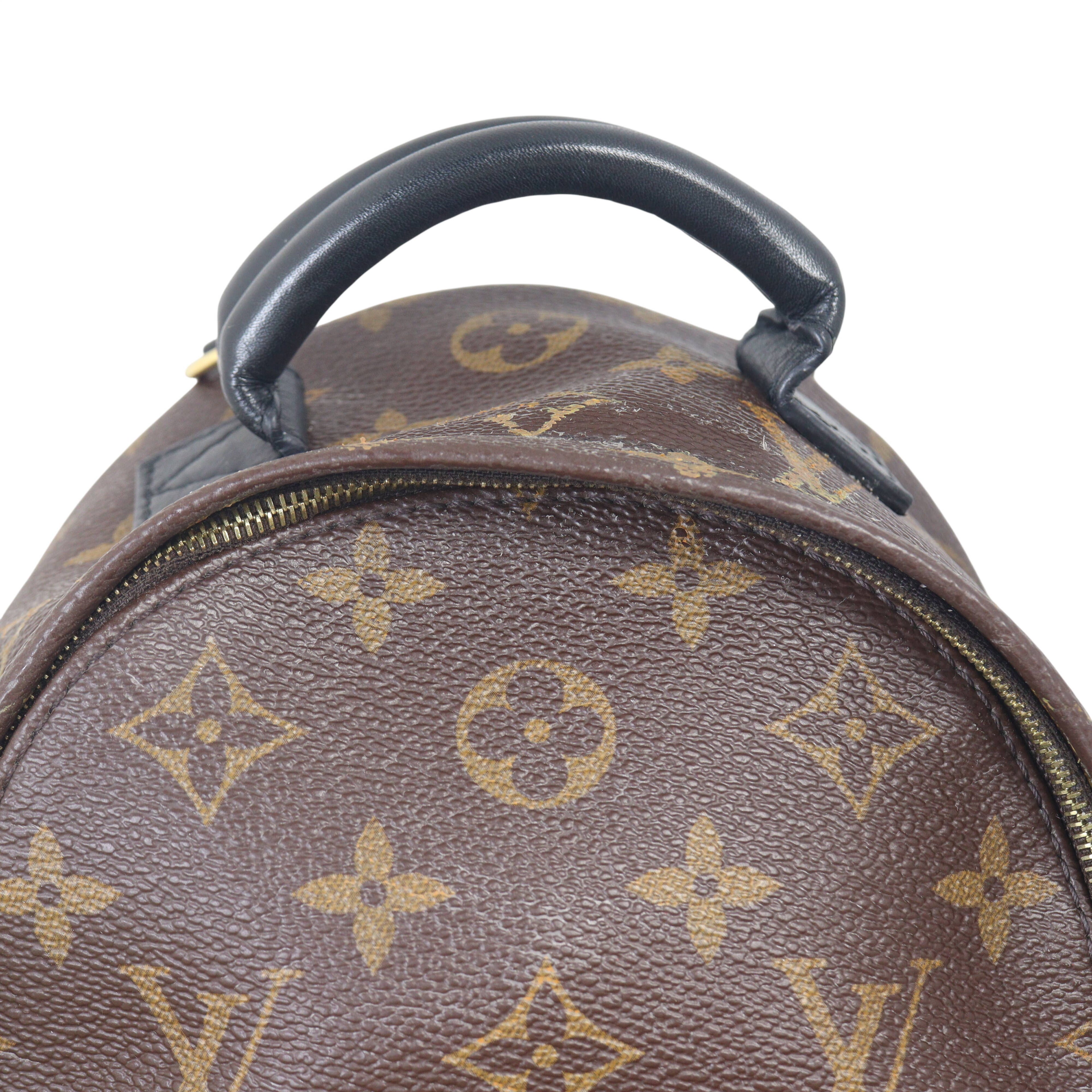 Louis Vuitton Palm Springs Mini Backpack Monogram