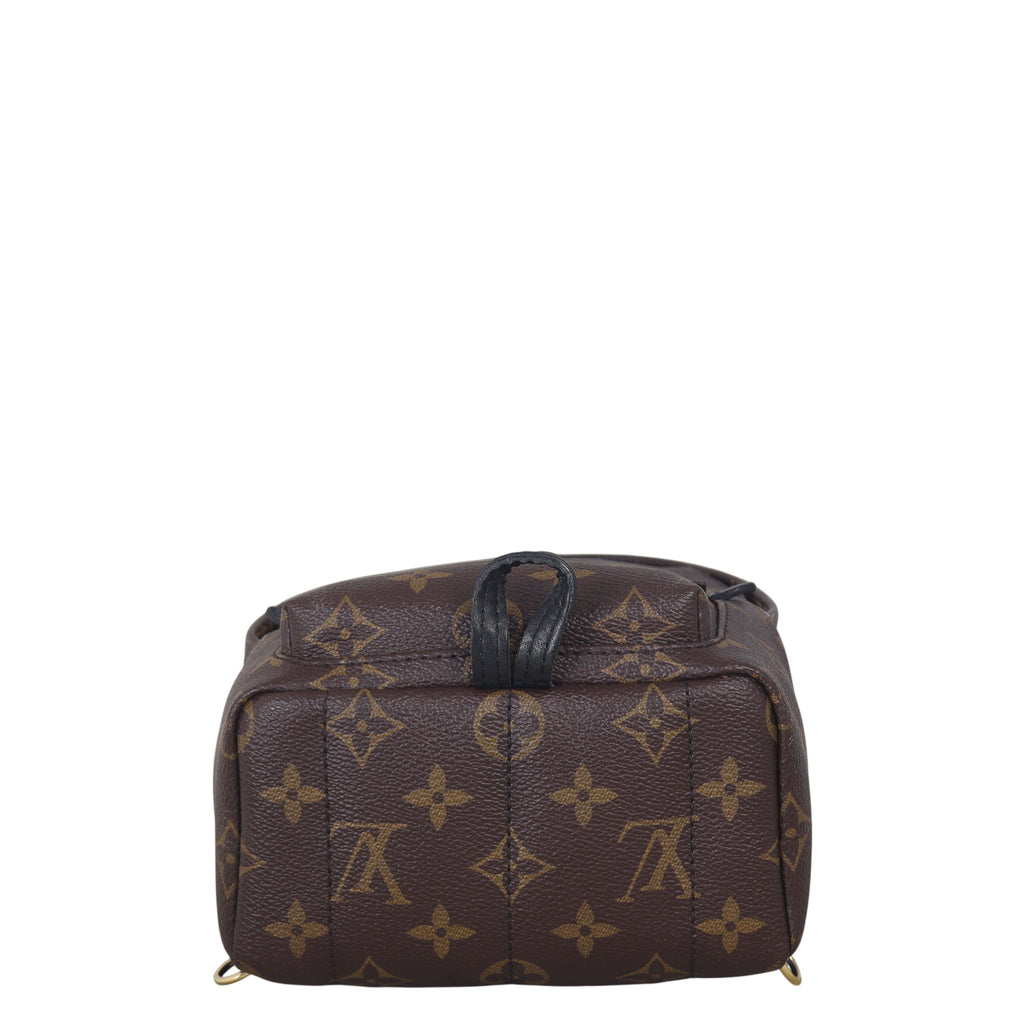 Louis Vuitton Palm Springs Mini Backpack Monogram