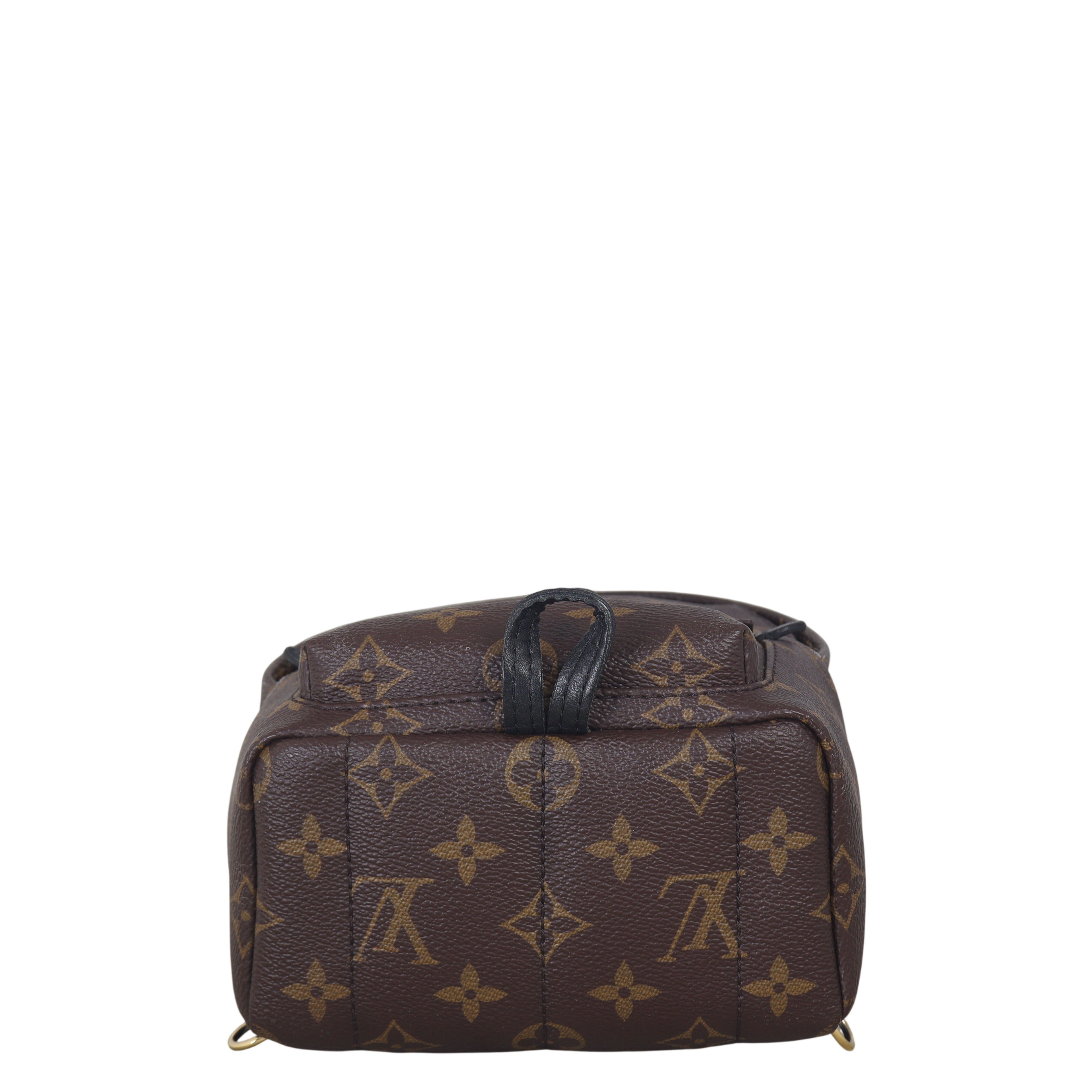Louis Vuitton Palm Springs Mini Backpack Monogram