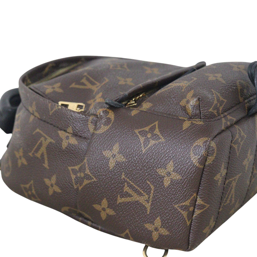 Louis Vuitton Palm Springs Mini Backpack Monogram
