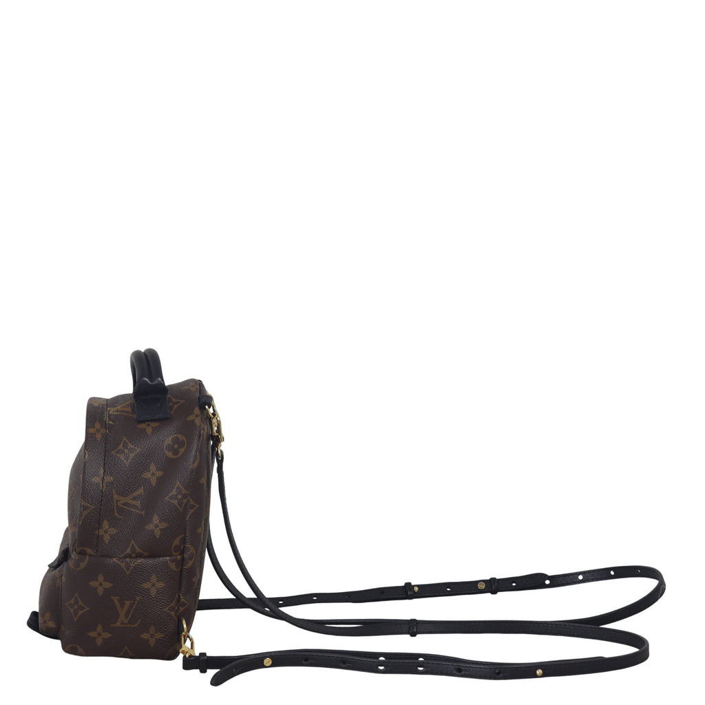 Louis Vuitton Palm Springs Mini Backpack Monogram