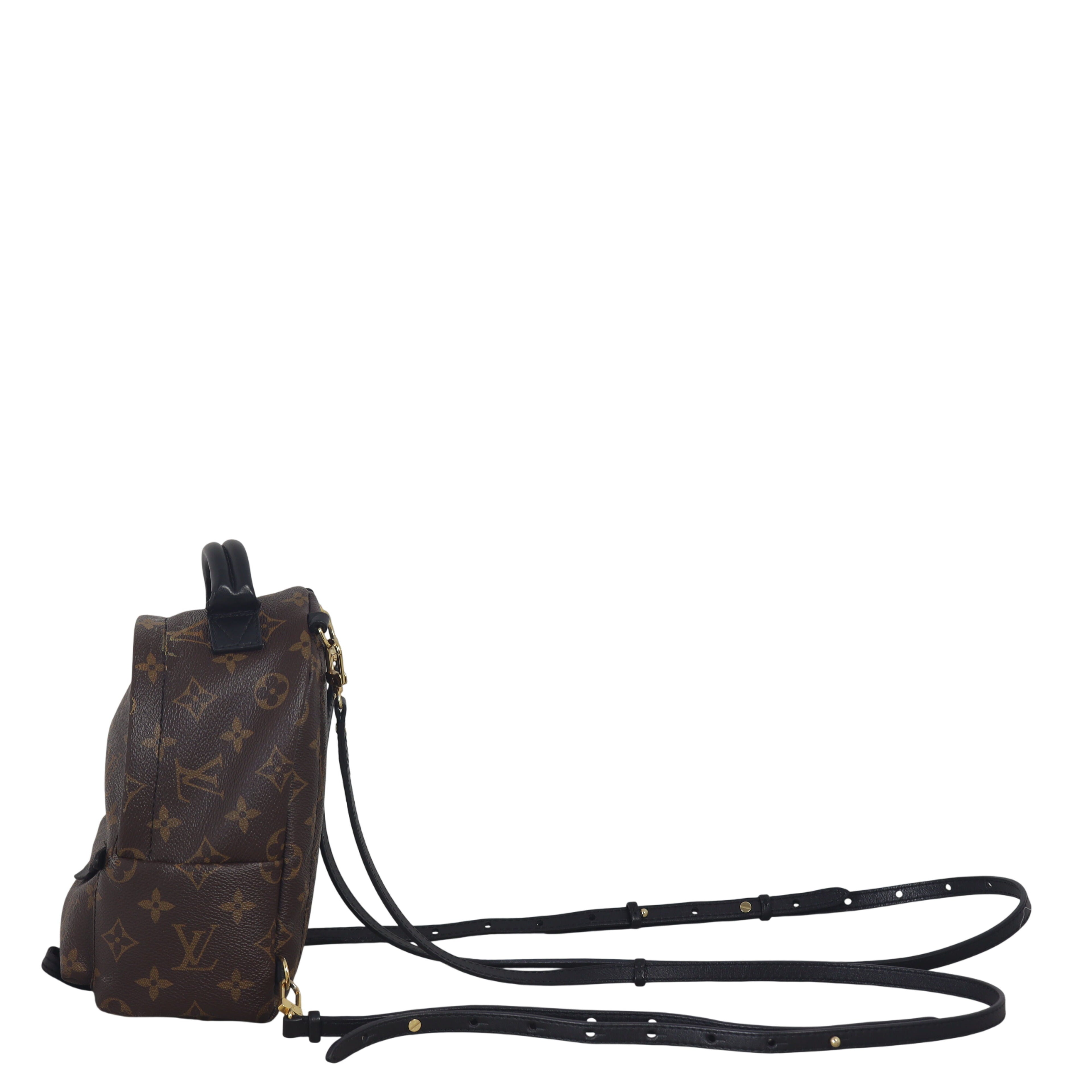 Louis Vuitton Palm Springs Mini Backpack Monogram