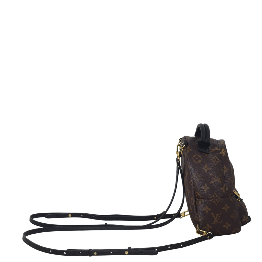 Louis Vuitton Palm Springs Mini Backpack Monogram