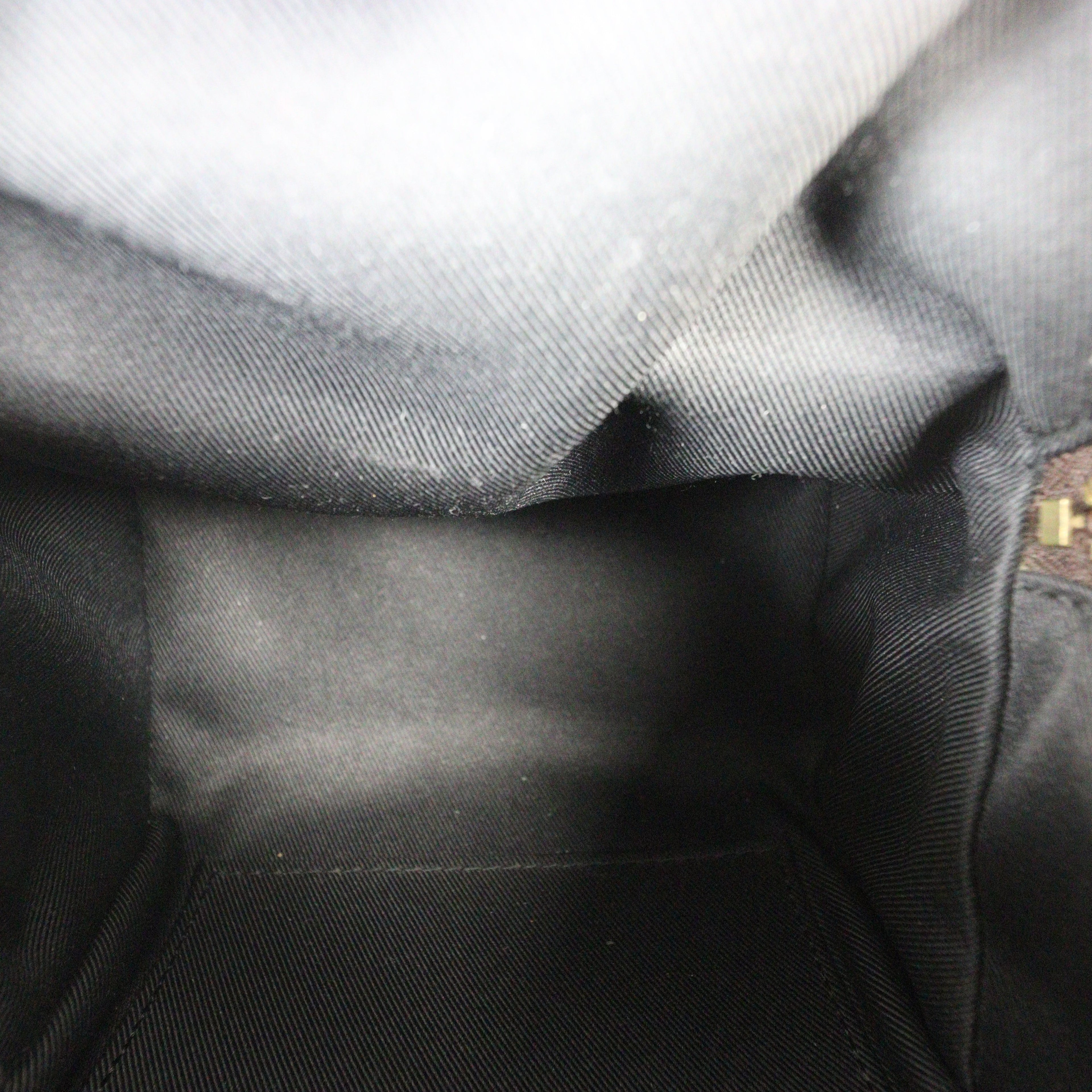 Louis Vuitton Palm Springs Mini Backpack Monogram