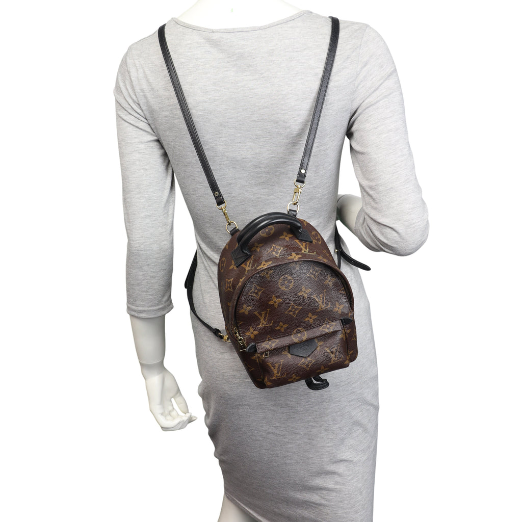 Louis Vuitton Palm Springs Mini Backpack Monogram