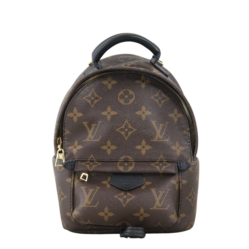 Louis Vuitton Palm Springs Mini Backpack Monogram
