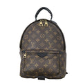 Louis Vuitton Palm Springs Backpack PM Monogram