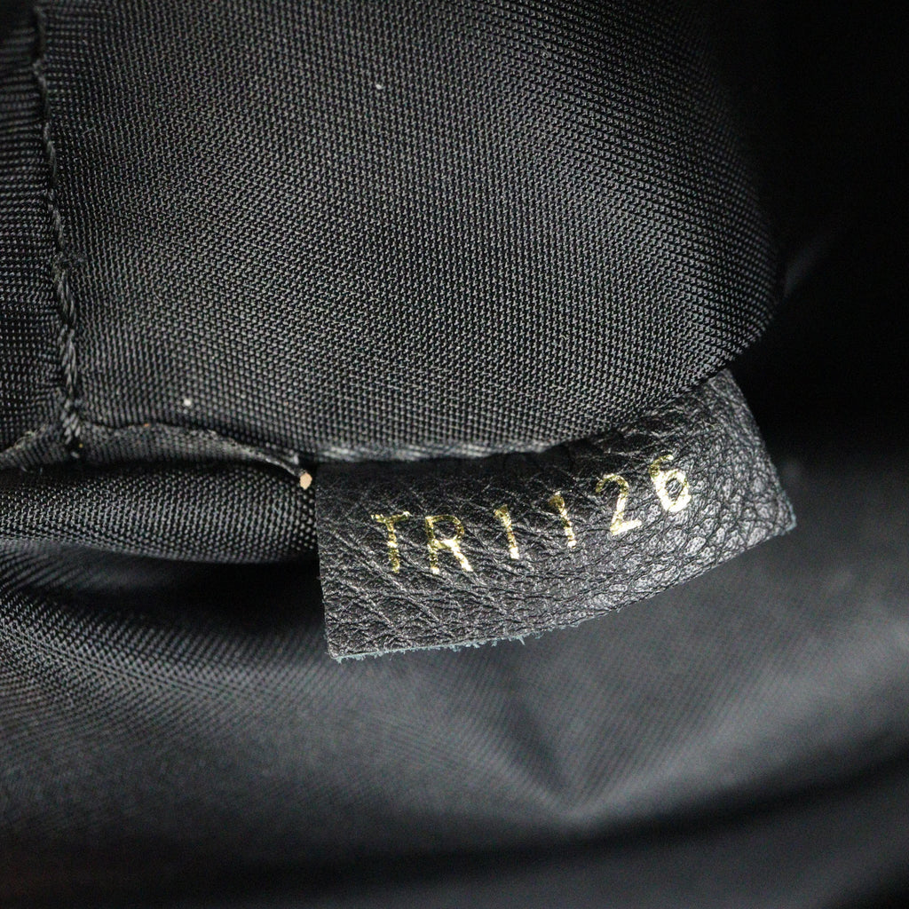 Louis Vuitton Palm Springs Backpack PM Monogram