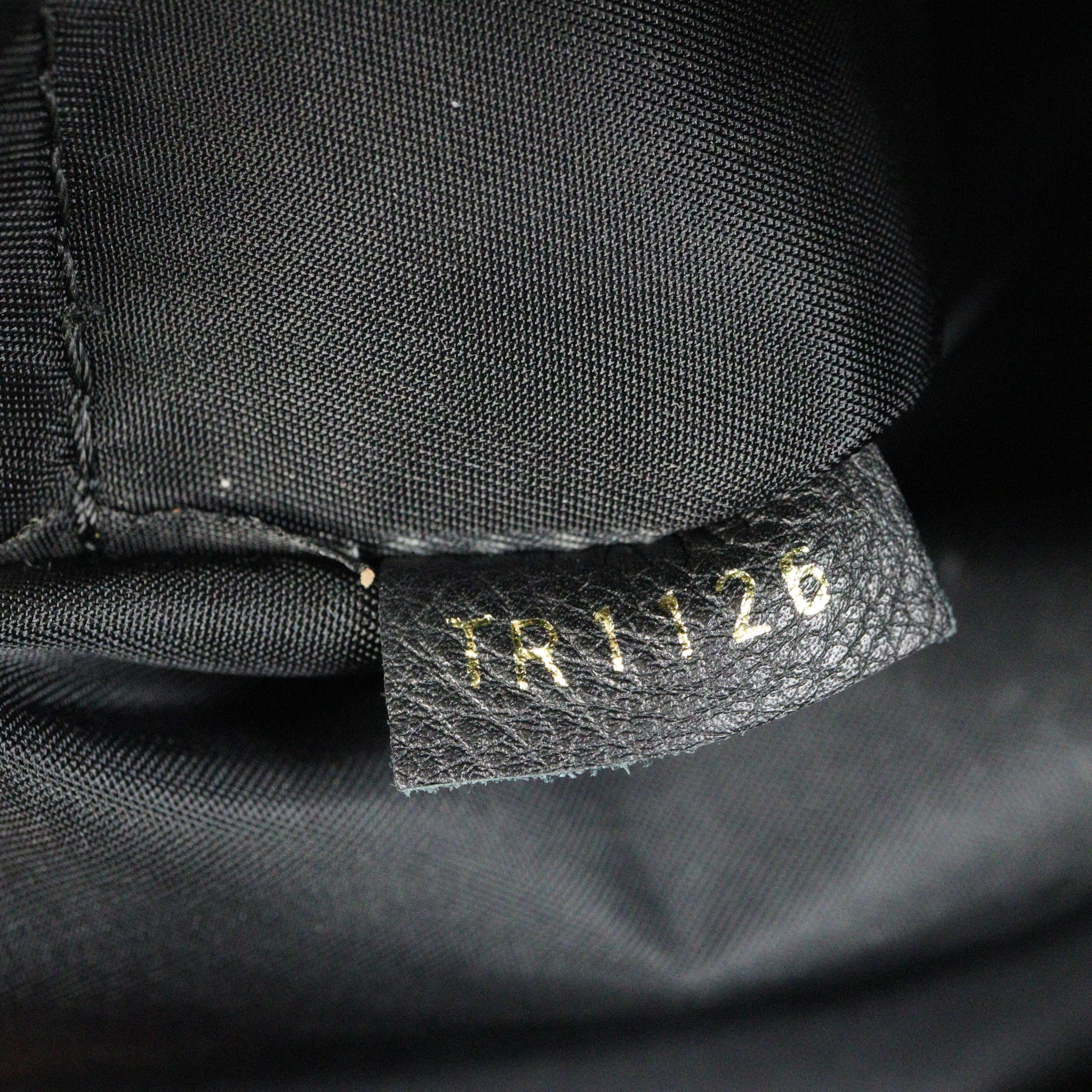 Louis Vuitton Palm Springs Backpack PM Monogram