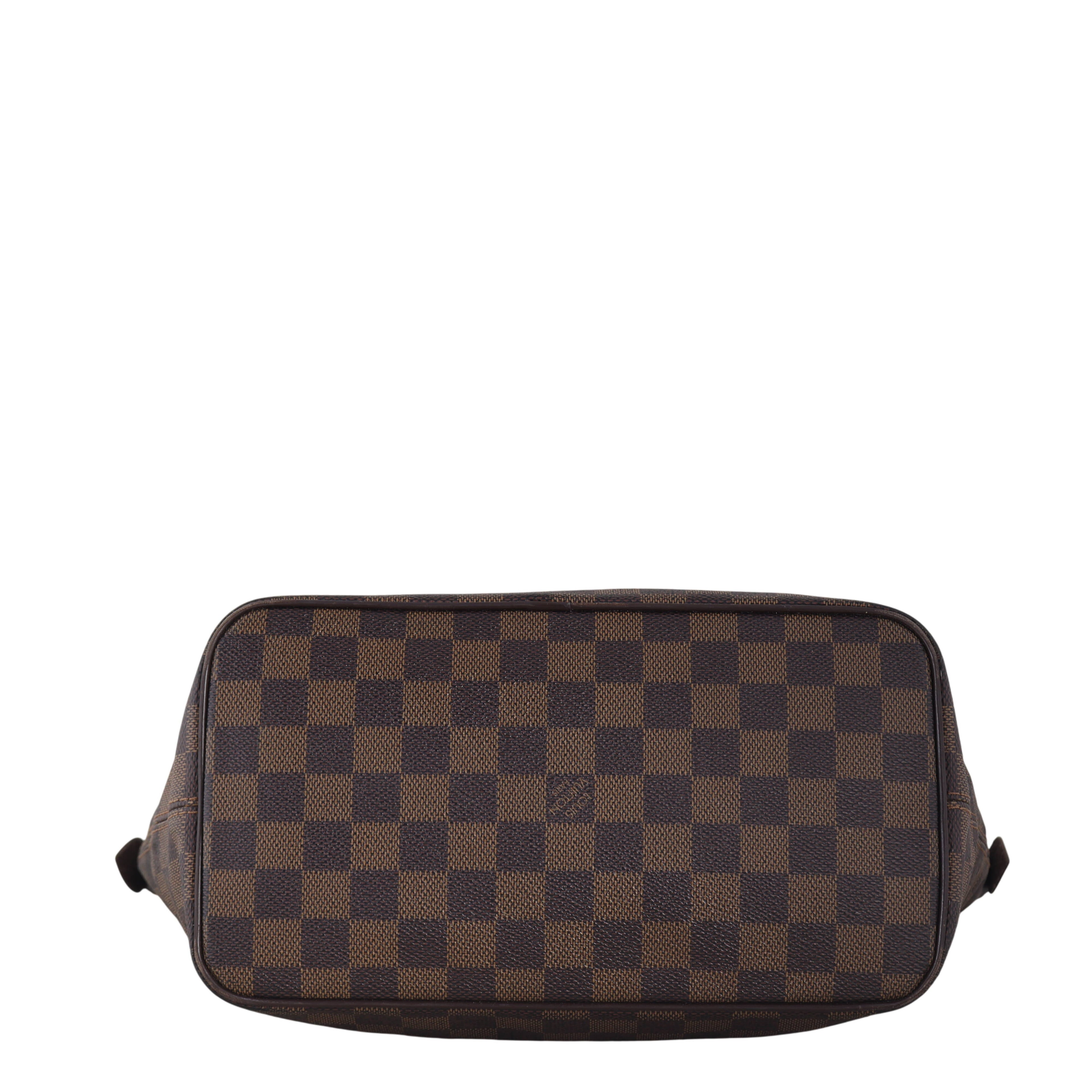 Louis Vuitton Saleya PM Damier Ebene