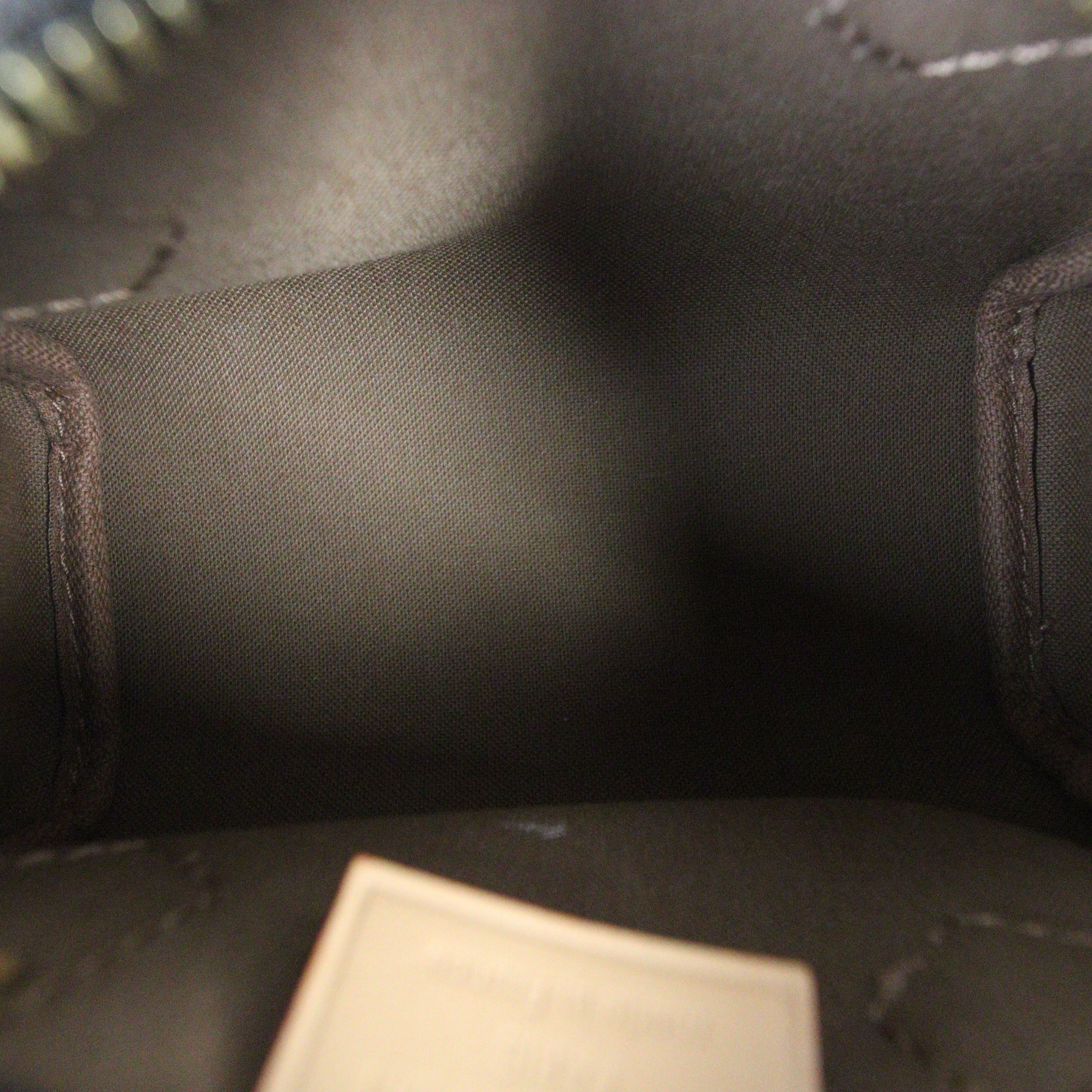 Louis Vuitton Nano Speedy Monogram