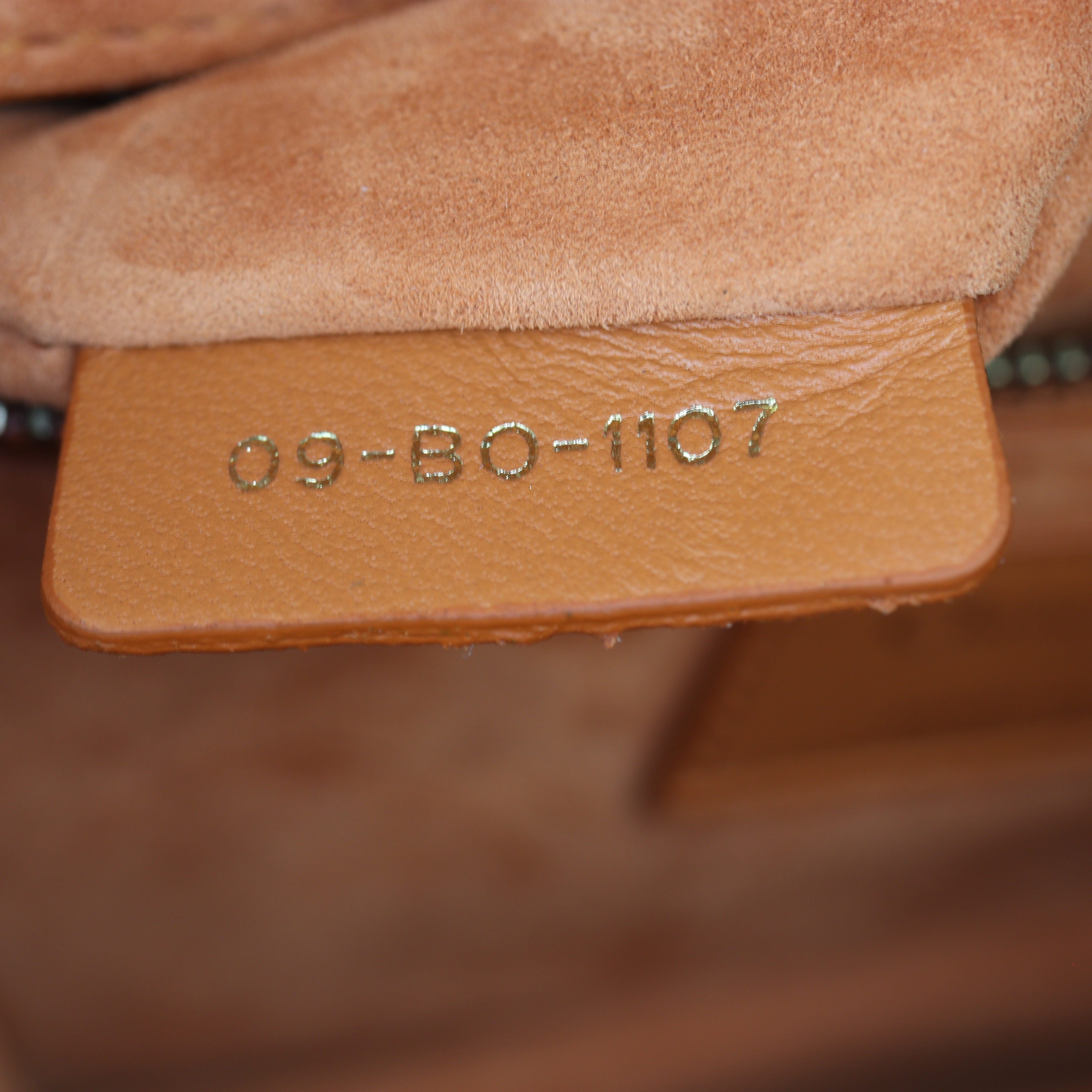 Dior Dioraddict Small Flap Bag Studded