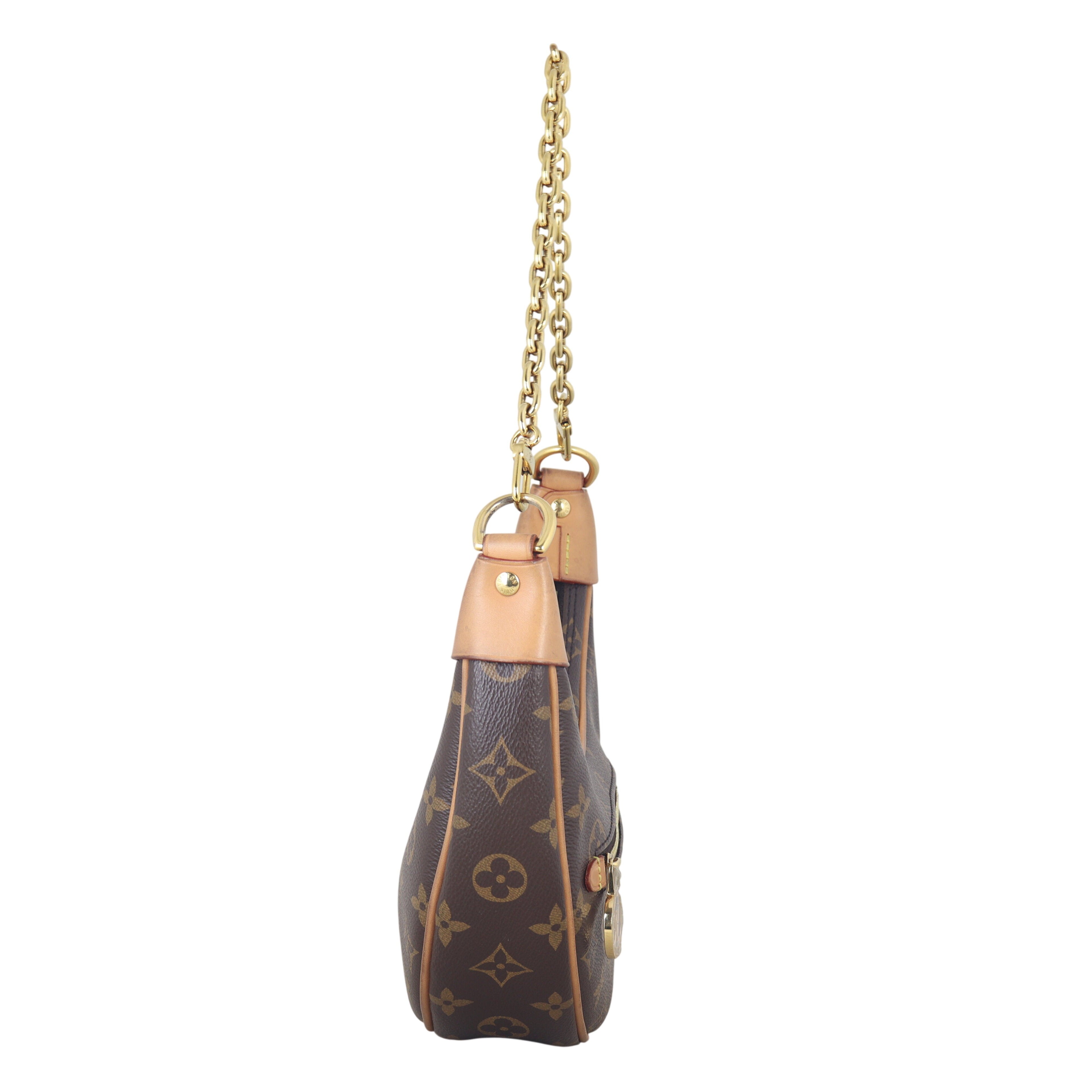 Louis Vuitton Loop PM Monogram