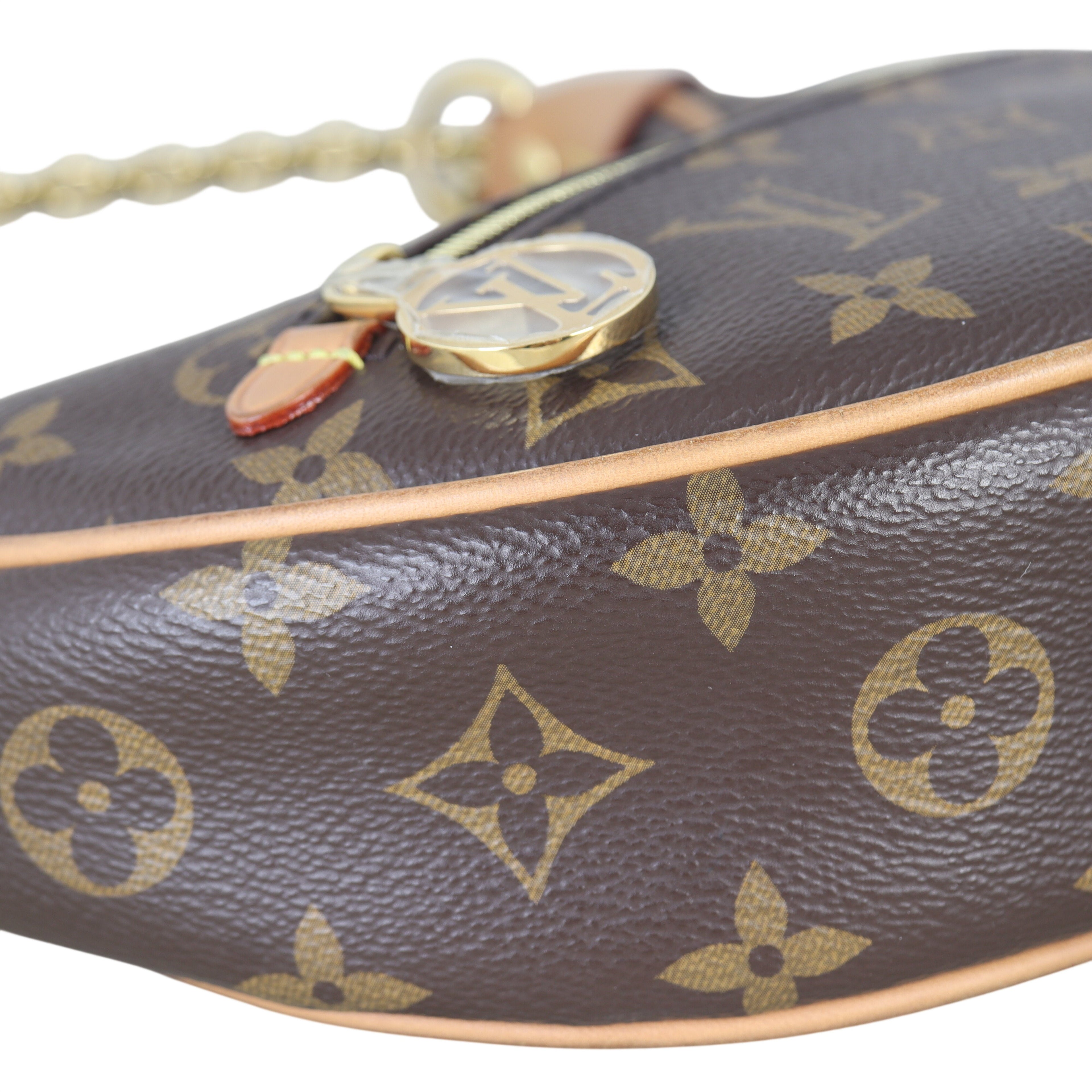 Louis Vuitton Loop PM Monogram