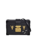 Louis Vuitton Petite Malle Epi