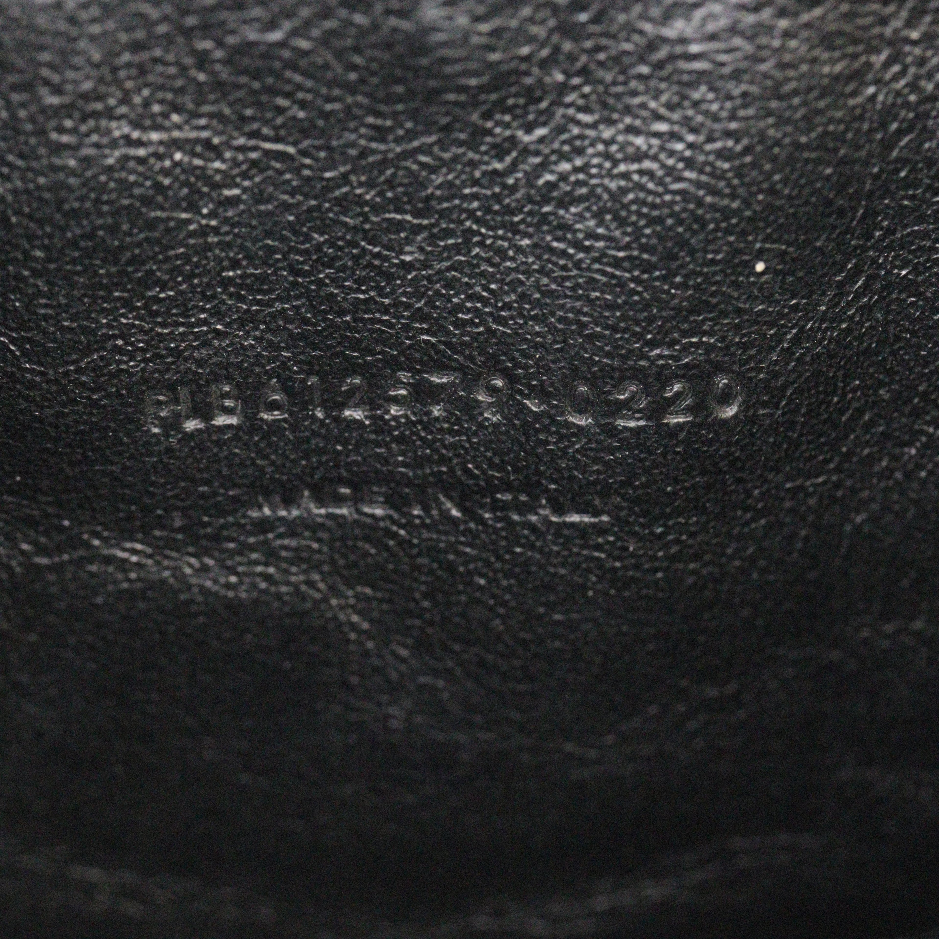 Saint Laurent Lou Mini Camera Bag