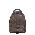 Louis Vuitton Palm Springs Mini Backpack Monogram