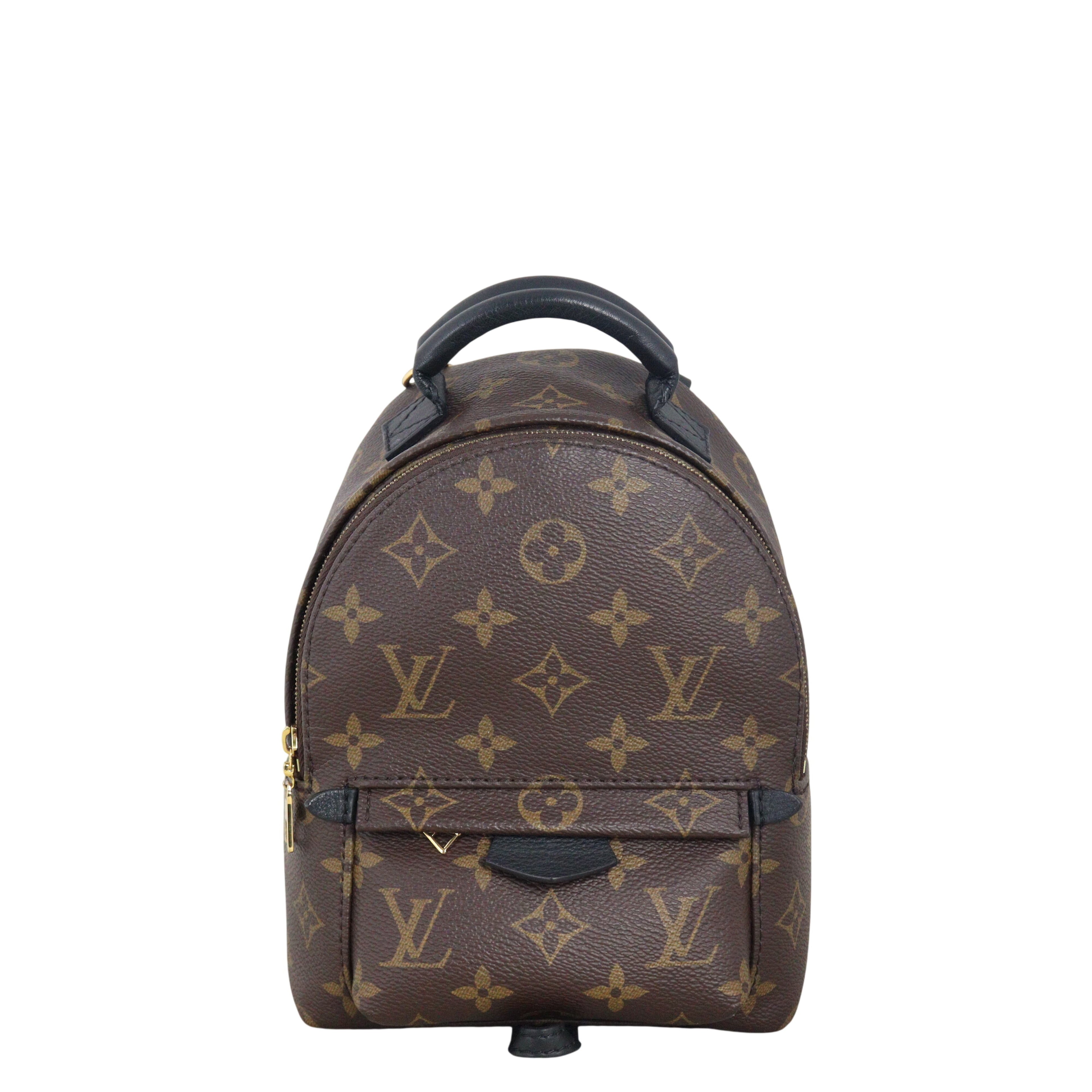 Louis Vuitton Palm Springs Mini Backpack Monogram