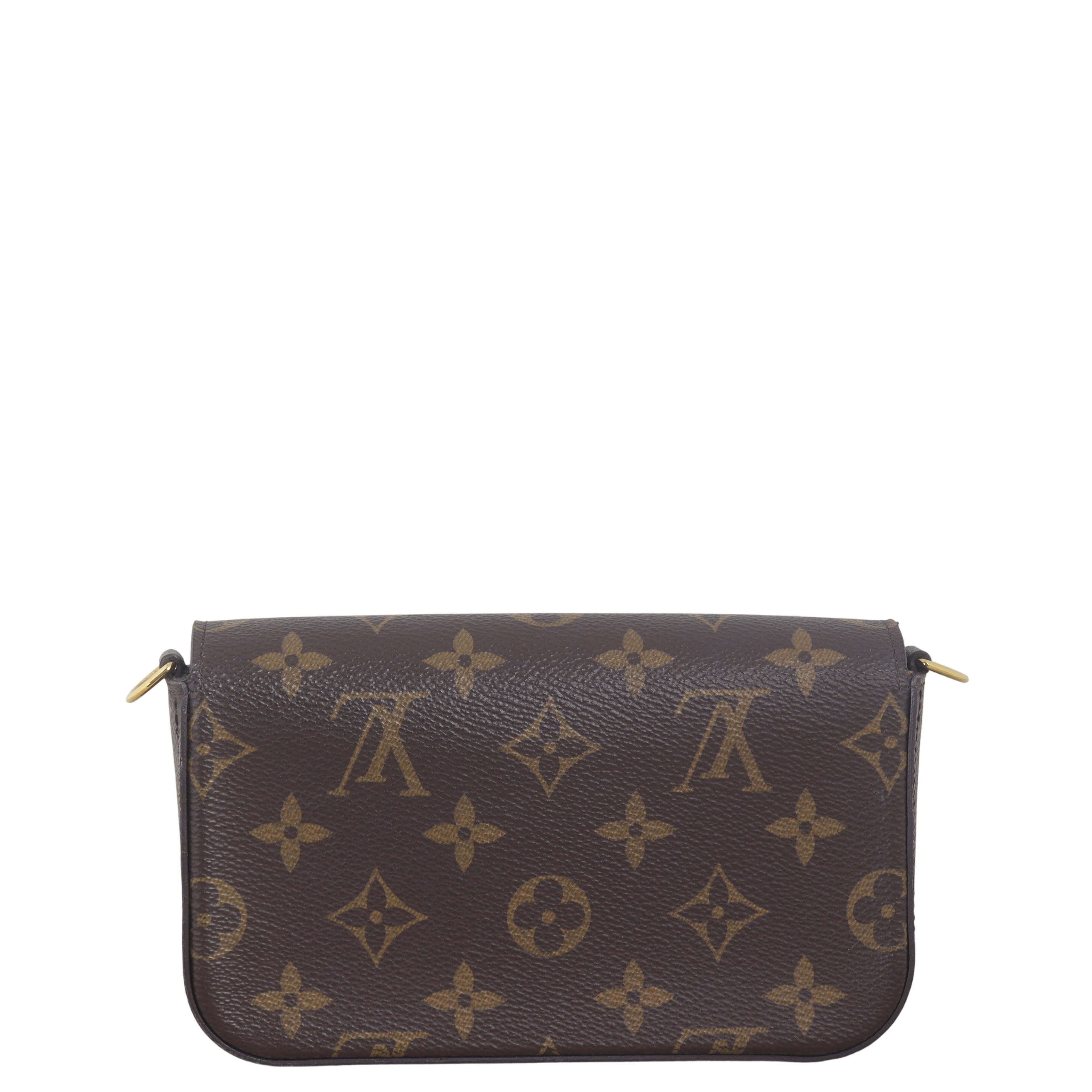 Louis Vuitton Felicie Strap & Go Monogram
