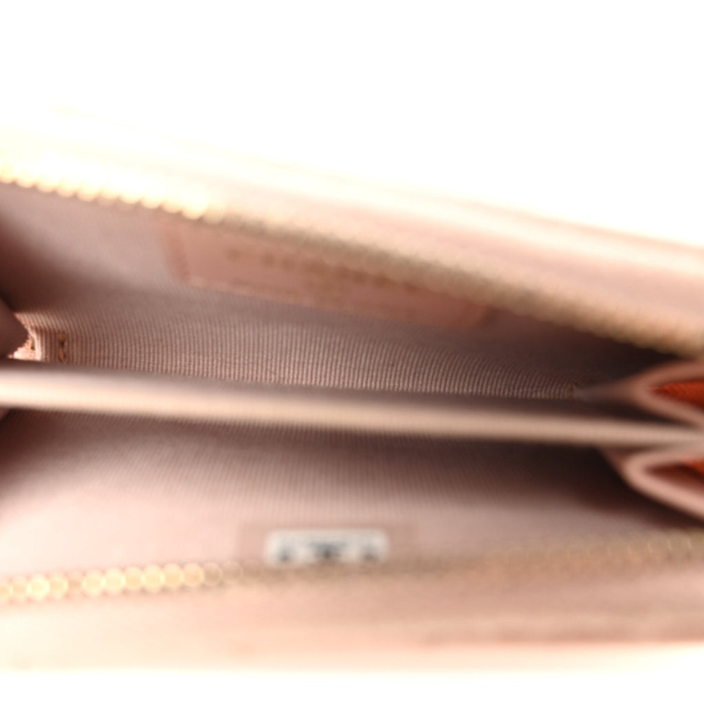 Lambskin Quilted Chanel 19 Vertical Zip  Holder Wallet Light Pink