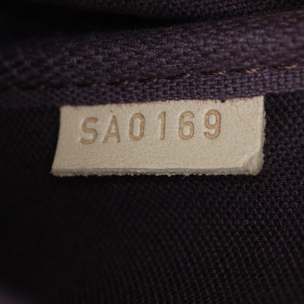 Louis Vuitton Favorite MM Monogram