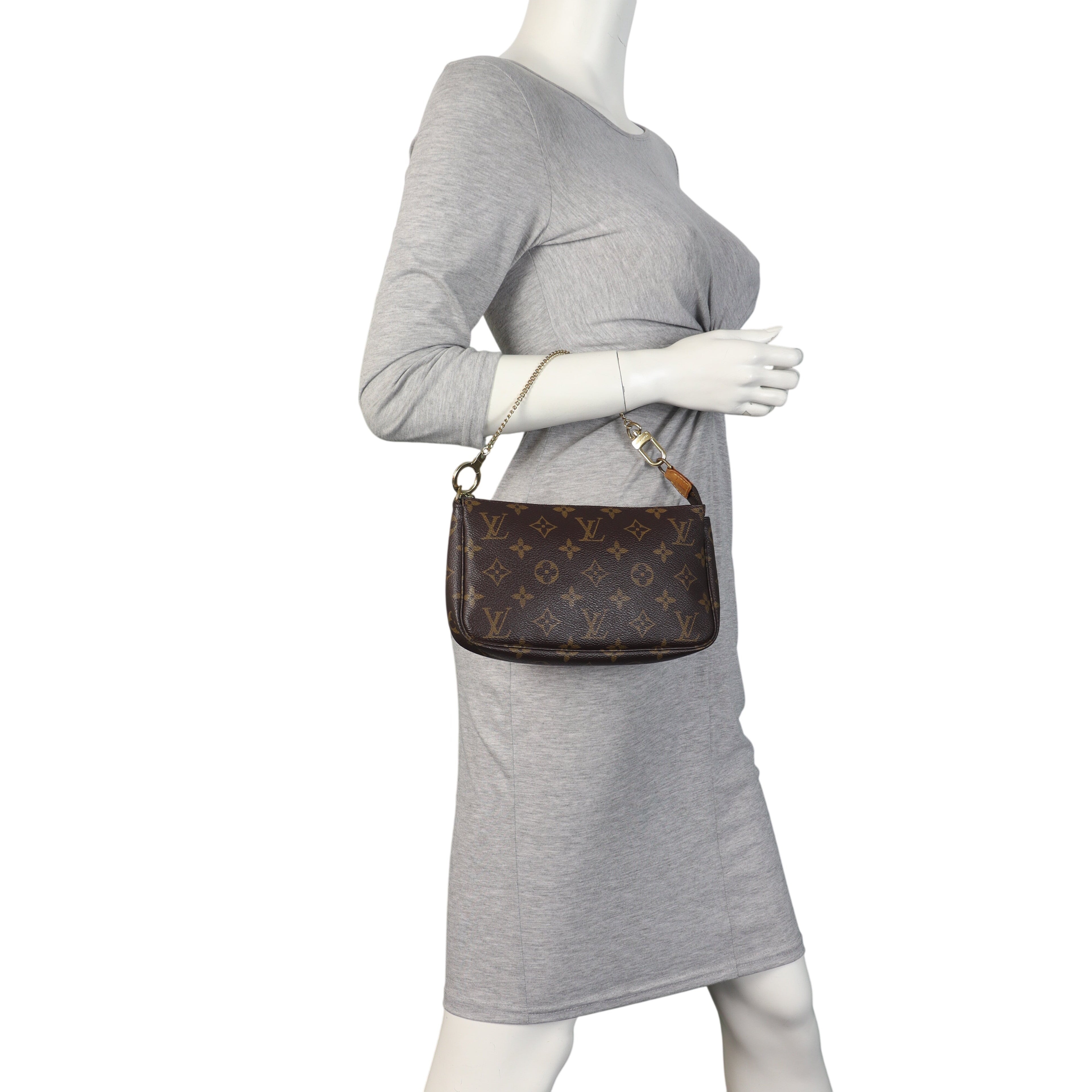Louis Vuitton Pochette Accessoires Monogram