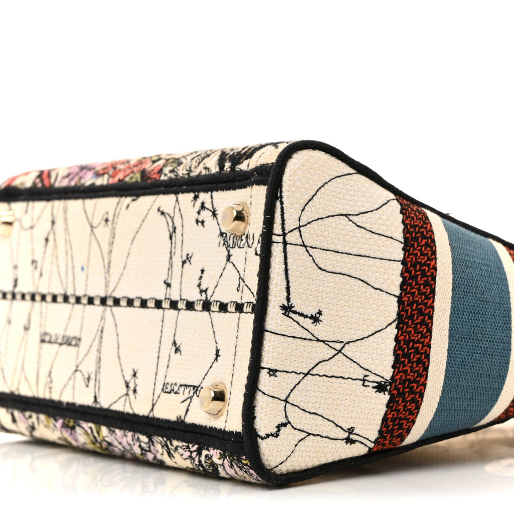 Canvas Constellation Embroidered Medium Lady D-Lite Latte Multicolor