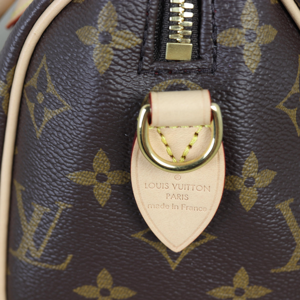 Louis Vuitton Speedy 20 Bandouliere Monogram with Embroidered Strap