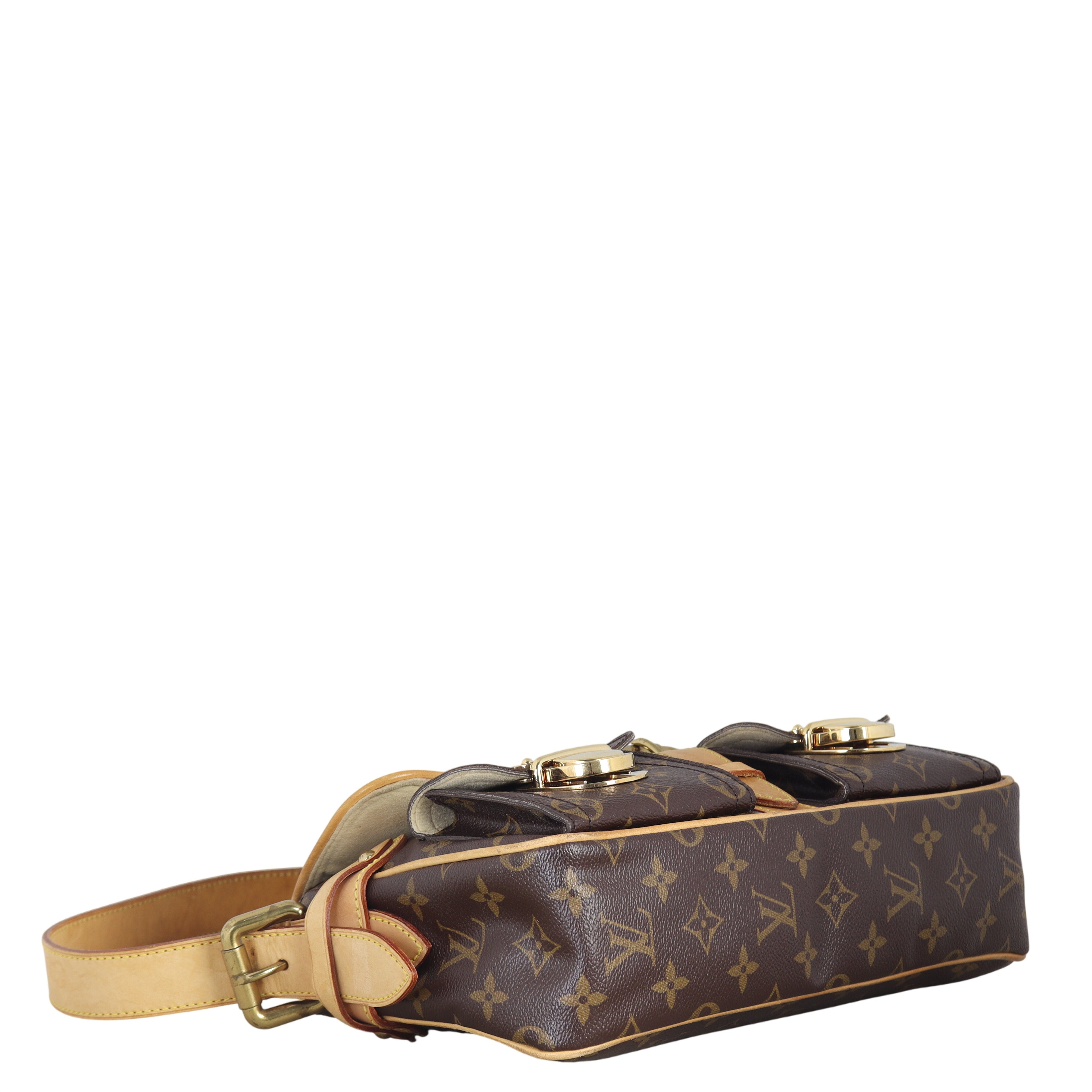 Louis Vuitton Hudson PM Monogram