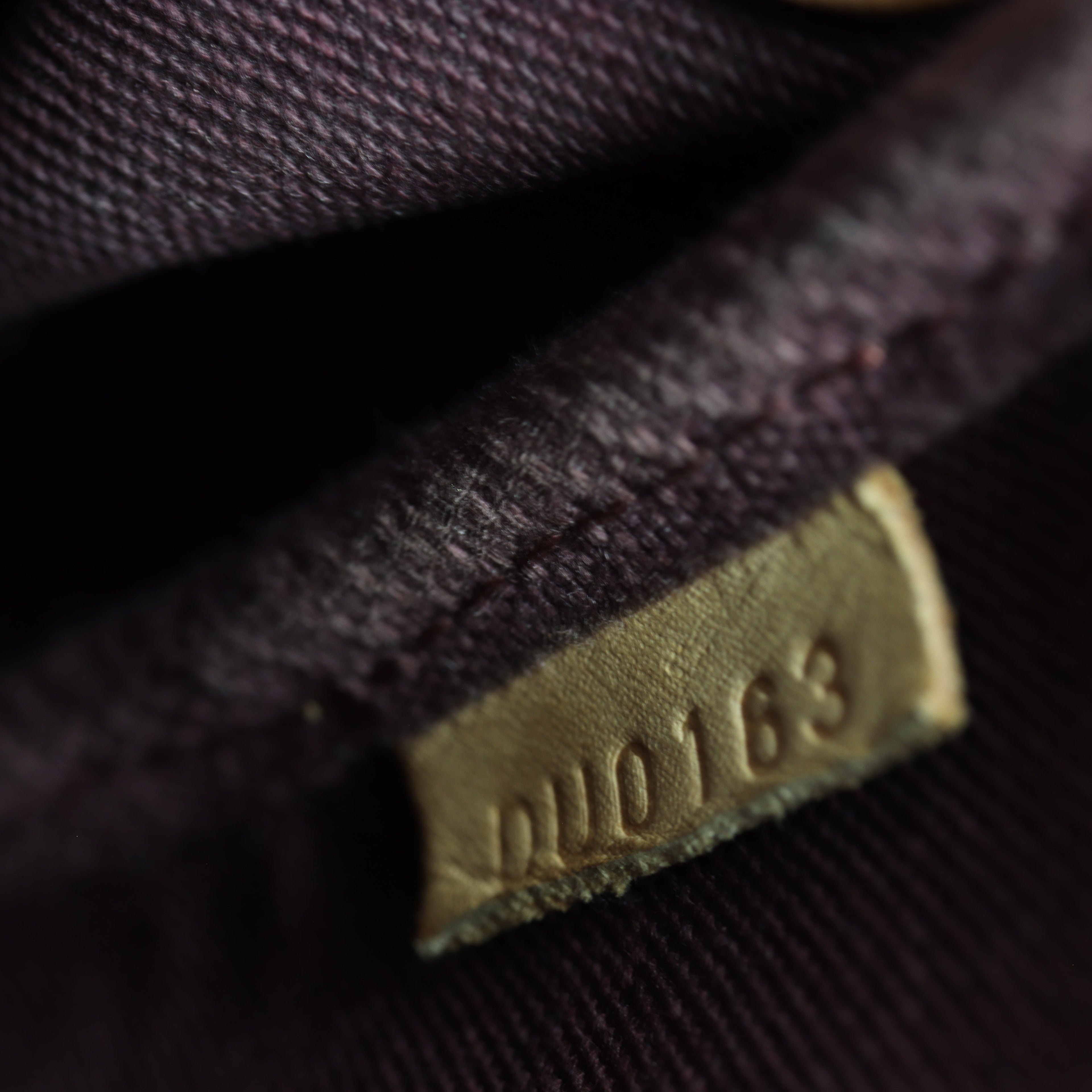 Louis Vuitton Favorite MM Monogram