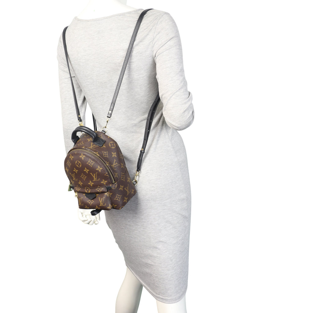 Louis Vuitton Palm Springs Mini Backpack Monogram