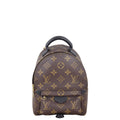 Louis Vuitton Palm Springs Mini Backpack Monogram