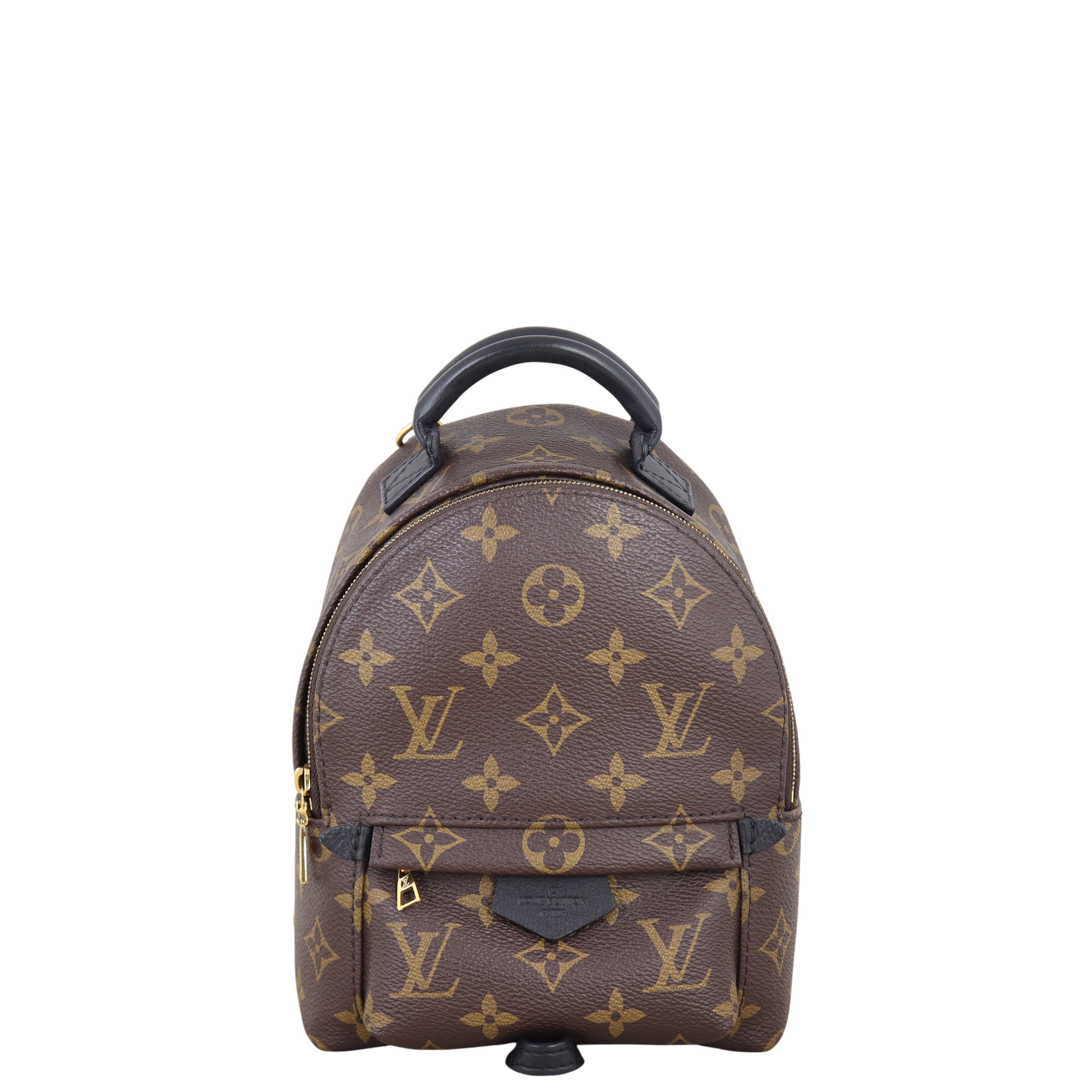 Louis Vuitton Palm Springs Mini Backpack Monogram