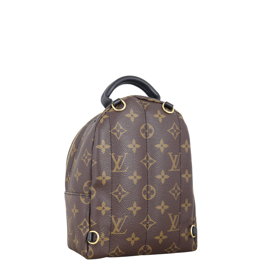 Louis Vuitton Palm Springs Mini Backpack Monogram